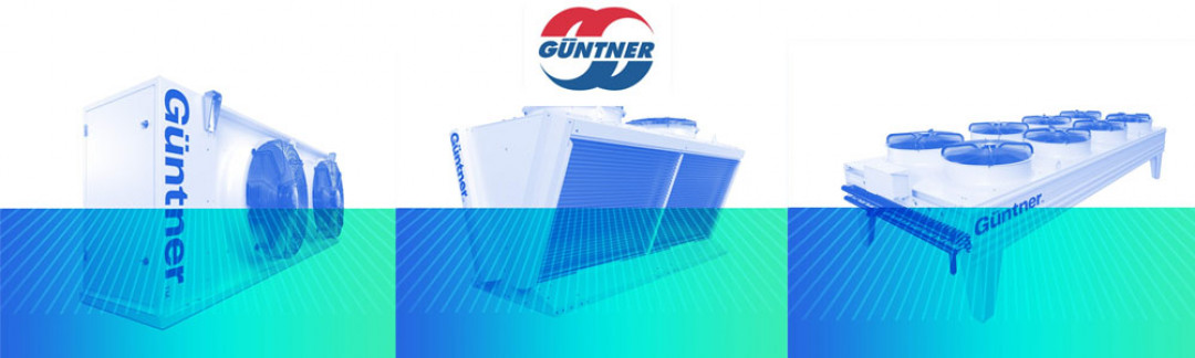 GUNTNER